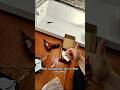 LG Fridge Error Code 1F E — Freezer Fan Motor Failure Fix (Full Repair!) #hotwire #appliancerepair