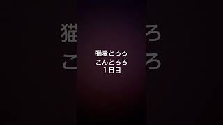 100日後に完成する猫麦とろろ1日目 #麻生太郎 #AllNightAfrica #猫麦とろろ #ミセスグリーンアップル #米津玄師 #コムドット