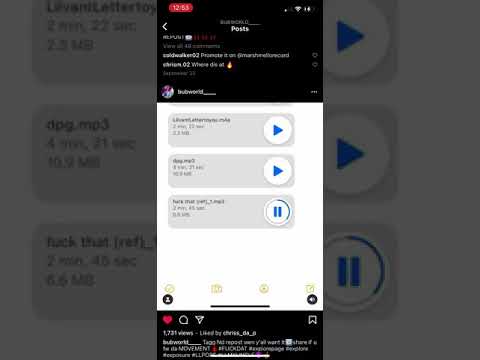 LILBUB unreleased￼