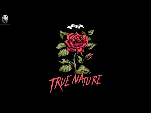 "True Nature" - Freestyle Rap Beat | Sad Boom Bap Type Beat (Anabolic Beatz)