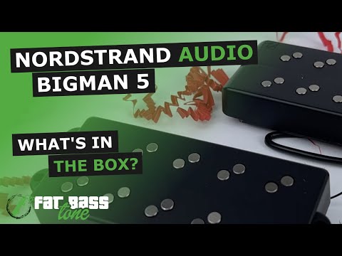 Nordstrand BigMan 5 MusicMan® Bass Pickup: What’s In The Box (A Close-Up Look)