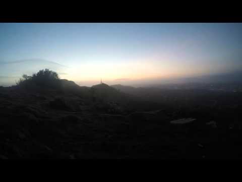 Wisdom tree sunrise over LA