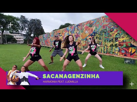 Sacanagenzinha - Harmonia Feat. Ludmilla - Cia Zero 41.