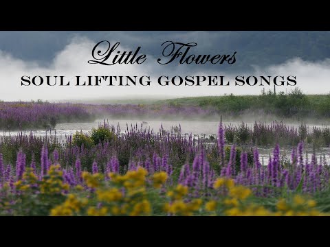 7 Hours Soul Lifting Gospel Songs - Little Flowers. Beautiful Playlist by Lifebreakthrough
