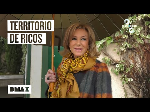 La CRUDA Realidad de Montar un BAR en España