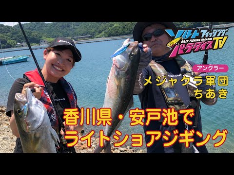 香川県　安戸池でライトショアジギング（ソルパラTV・第96回2022年7月28日放送）