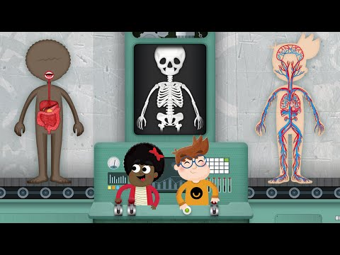 How does The Human Body Work? Video