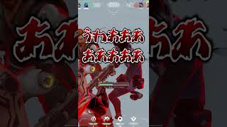 【VALORANT】オーメンのウルトを使ったらまさかの結果に...？ 【猫ミーム】