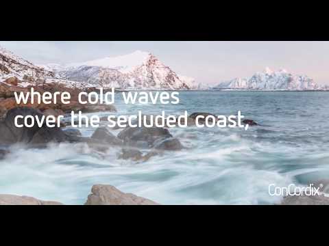 The story of Vitux AS