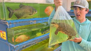 I Saved Live Animals From an Asian Food Market!