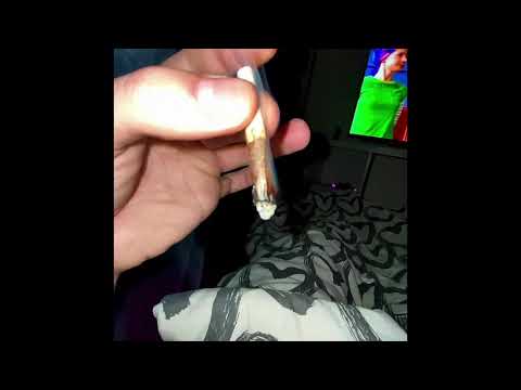 3. Alles dreht sich - Jibbo11