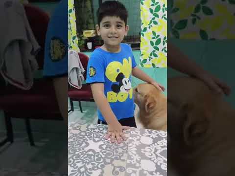 My first YouTube video | With my dog blue #dogs #doglover #firstvideo #boy