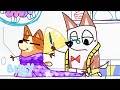 MAIS Pequenas Histórias Com Bluey Parte 2 Bluey Português Brasil Canal Oficial