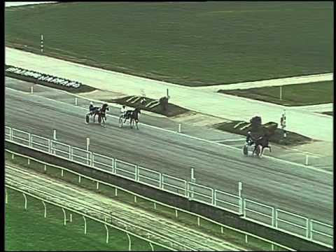 Trotto 26/11/2015 - 1° prova di qualifica