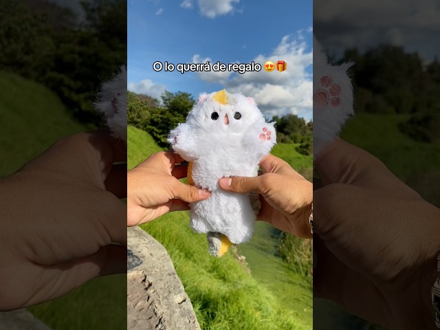 Vídeo relacionado con SYTTNUM Peluche de Gato, Gato de Peluche Realista, Peluches Realistas Regalos de Cumpleaños para Adultos (Gray)