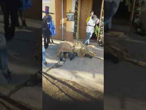 Viflaim Homorodu De Mijloc