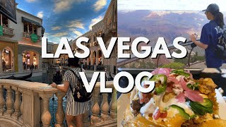 Las Vegas Vlog | Is a GoCity Pass Worth it? Hoover Dam Tour and Guy Fieri’s Restaurant