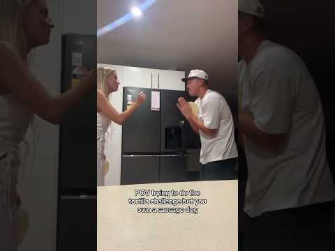 Un petit chien sournois vole la tortilla de sa mère