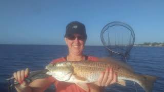 Halloween Pumpkin Redfish Navarre Beach Florida