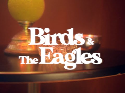 JARNA - Birds & The Eagles (ft. Spdrtwnbby) [Official Music Video]