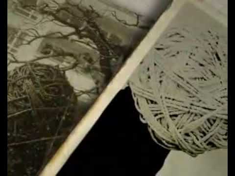 The Evpatoria Report Taijin Kyofusho