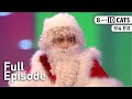 8 Out Of 10 Cats At Christmas Series 14 Episode 12 S14 E12 Full Episode