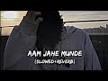 Aam Jahe Munde (Slowed+Reverb) Permish Verma