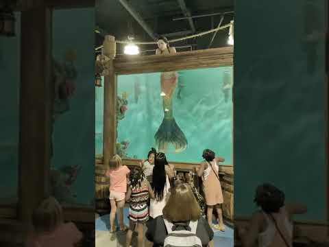 🧜REAL SEREIA?sereia existe| sereia de verdade|mermaid tries to lure me #shorts