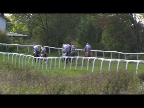 2019.10.06 Arnfinn Lunds Minneløp (NOR) - Swedish Dream