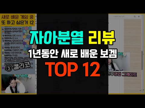 새로 배운것 중 [또 하고 싶은거 TOP12] 자아분열 리뷰