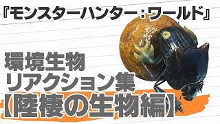 『モンハンワールド』環境生物リアクション集【陸棲の生物編】