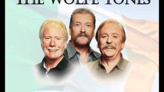 The Wolfe Tones - The Star of the County Down