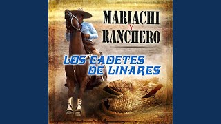 No Seas Ingrata