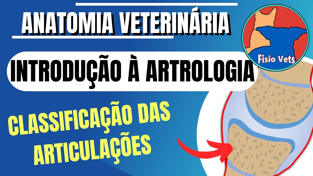 Classificação as articulações (fibrosas, cartilaginosas e sinoviais) - Artrologia veterinária