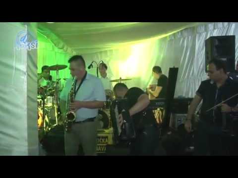 Show Borko Radivojevic i Tigrovi Predstavljanje