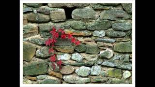 Happy Rhodes  - When The Rain Came Down