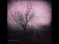 Asaf Avidan | Setting Scalpels Free 