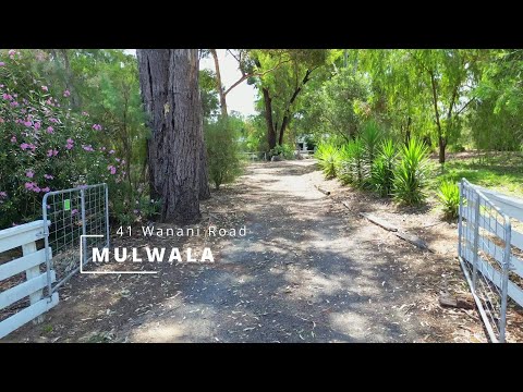 41 Wanani Road, Mulwala, NSW 2647, 4 rūma, 3 rūma horoi, Lifestyle Section