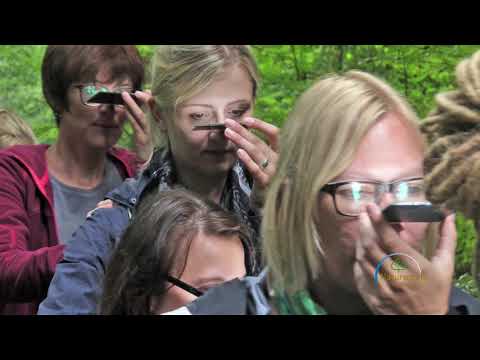 download lagu mp3 mp4 Naturschule Freiburg, download lagu Naturschule Freiburg gratis, unduh video klip Naturschule Freiburg