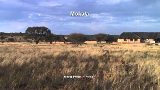 Arid Parks of the Northern Cape - South Africa Travel Channel 24