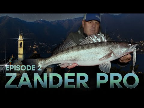 ZANDER PRO 5 - Episode 2
