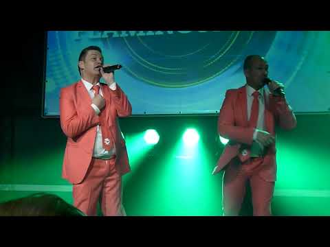 Flamingoboys - Ich schwöre dir