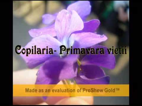 Copilaria-primavara vietii