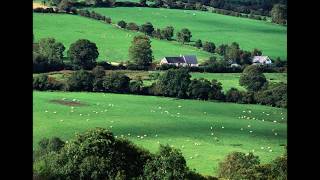 Four Green Fields By Tommy Makem