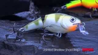 Rapala shallow shad rap jointed