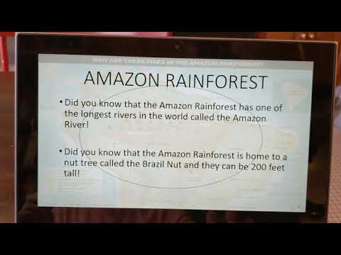 Rainforests by Eddie ft. Apollo