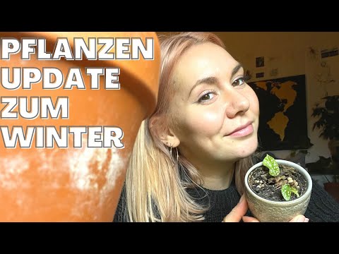 , title : 'Pflanzen Update zum Winter :)'