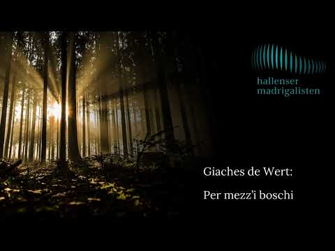 Per mezz'i boschi (Giaches de Wert) - Hallenser Madrigalisten