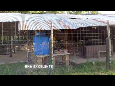 LOTE EN VEREDA PUENTE TIERRA – YOTOCO, VALLE DEL CAUCA