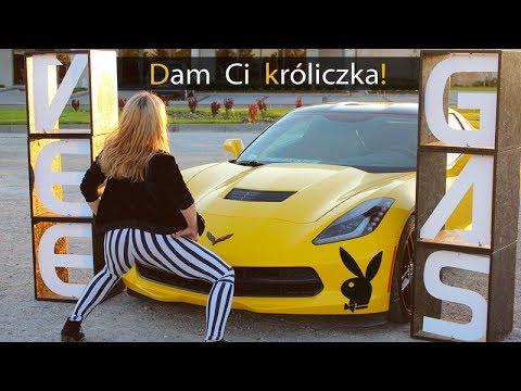 Veegas - Dam Ci króliczka (Official Video)
